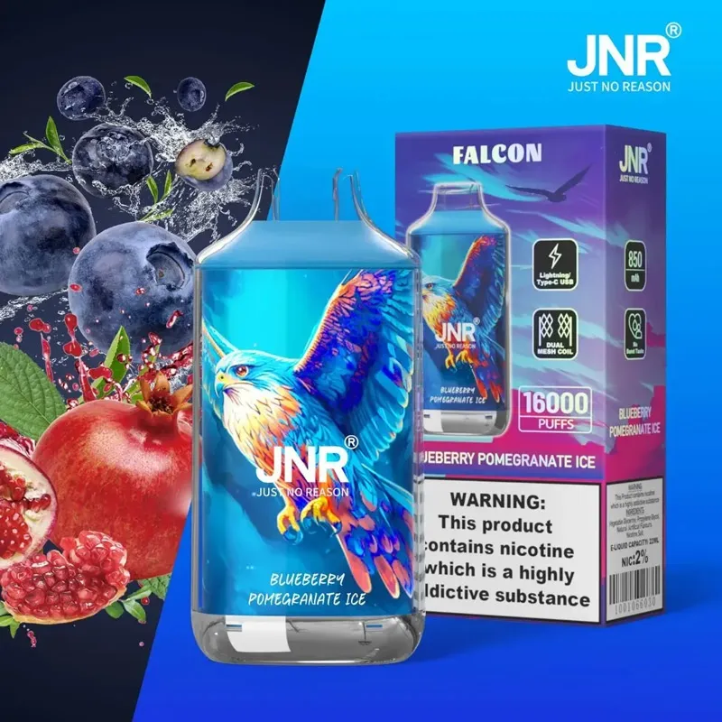 JNR Falcon 16000 saveur Blueberry Pomegranate Ice