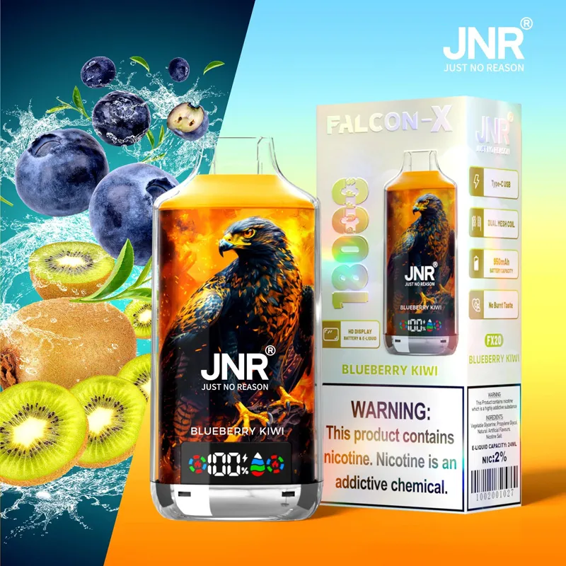 JNR Falcon X 18000 saveur Blueberry Kiwi