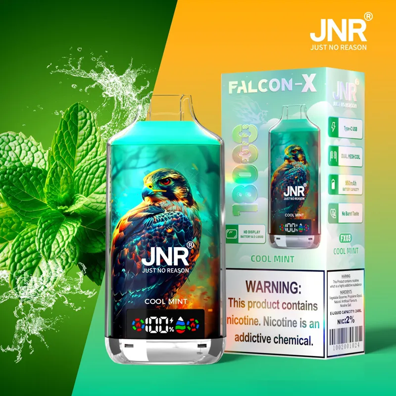 JNR Falcon X 18000 saveur Cool Mint