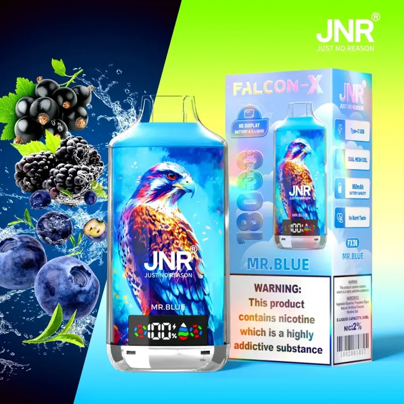 JNR Falcon X 18000 saveur Mr.Blue