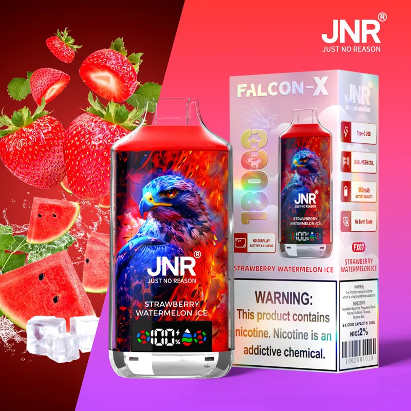 JNR Falcon X 18000 saveur Strawberry Watermelon Ice